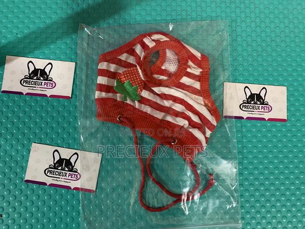 Toy Dog Clothings Series 26 · Photo 1