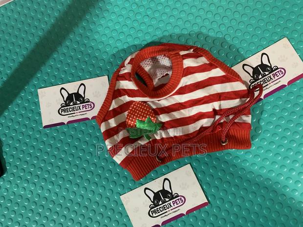 Toy Dog Clothings Series 26 · Photo 4