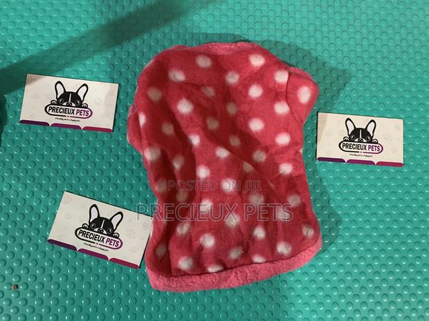 Toy Dog Clothings Series 27 · Photo 4