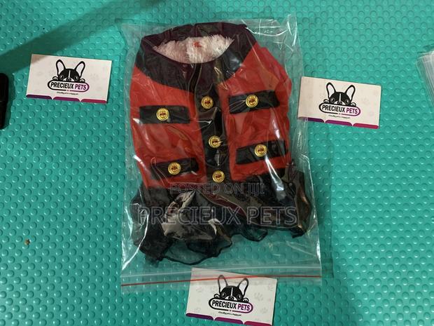 Toy Dog Clothings Series 28 · Photo 1