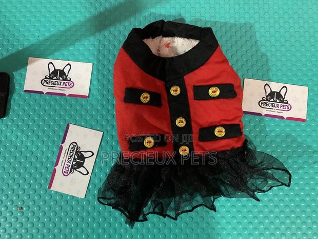 Toy Dog Clothings Series 28 · Photo 3