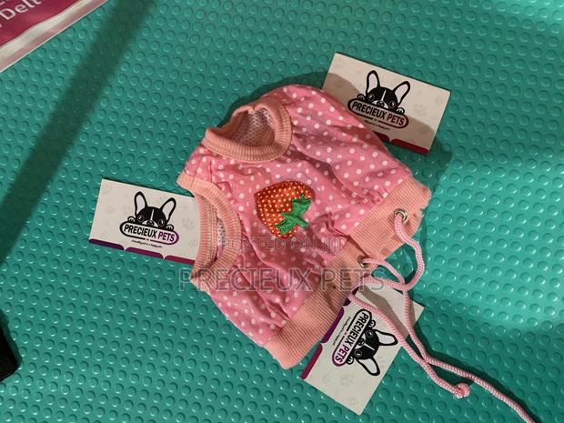 Toy Dog Clothings Series 31 · Photo 3