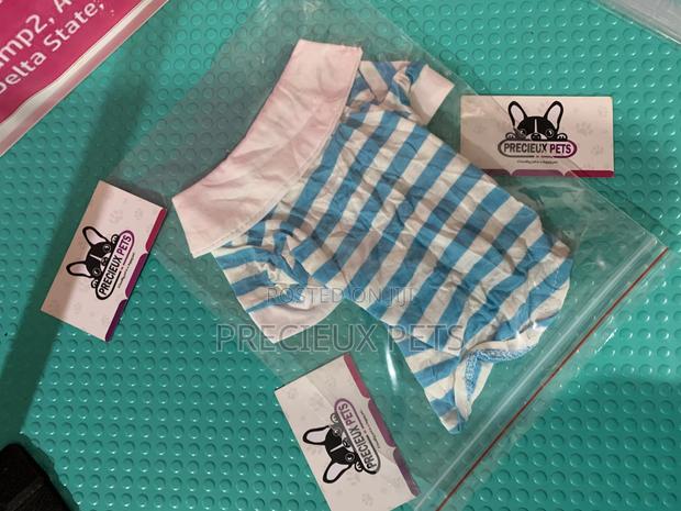 Toy Dog Clothings Series 32 · Photo 1