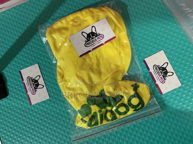 Toy Dog Clothings Series 33 · Photo 1