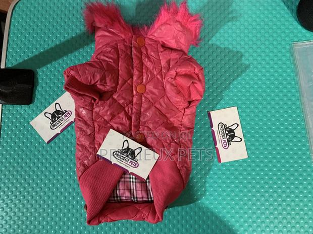 Toy Dog Clothings Series 35 · Photo 5