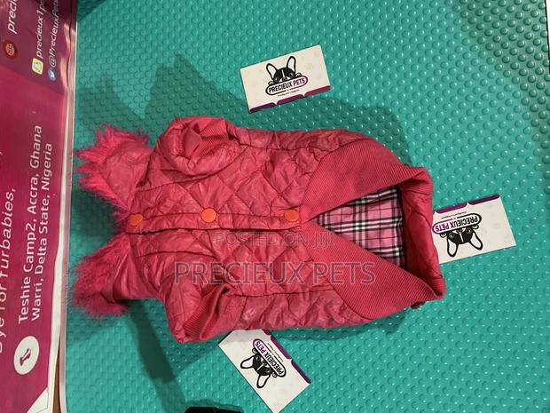 Toy Dog Clothings Series 35 · Photo 7