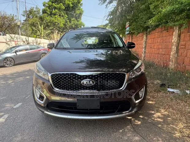 Kia Sorento 2017 Brown · Photo 1