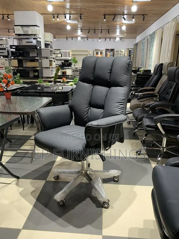 Executive Double Padded Office Chair · Photo 1