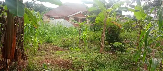 75ft×120ft Plot of Land @Kotwi Tweneduase · Photo 1
