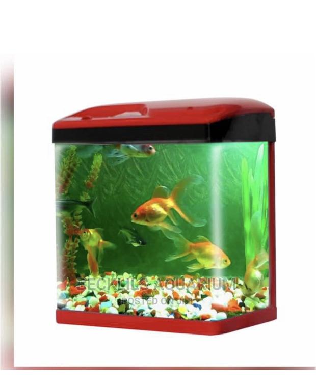 Aquariums and Accessories · Photo 1
