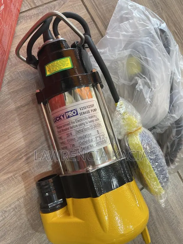 Sewage Pump · Photo 1