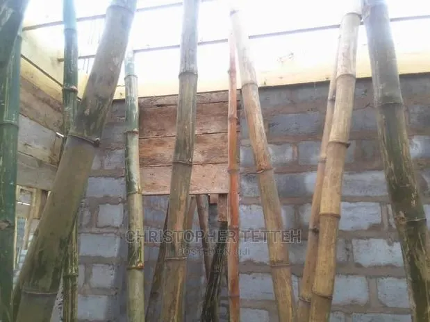 Wood for Rent · Photo 1