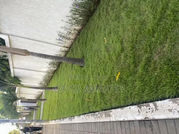 Green Grass and Flower · Photo 1