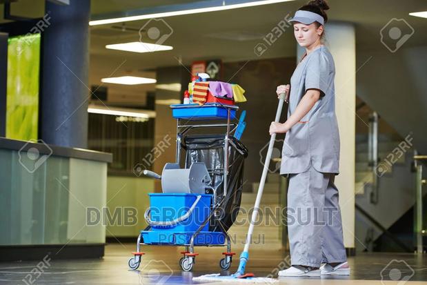 Hiring Cleaners Ready4u · Photo 2