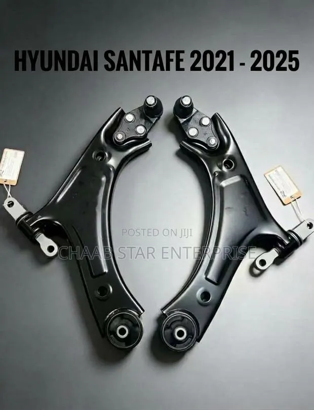 Hyundai Santafe 2021-2025 Lower Arm Pair · Photo 1