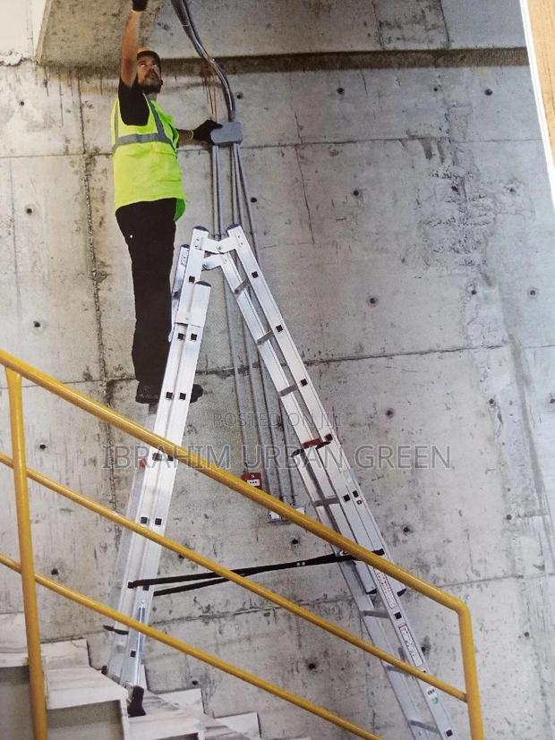 Double Extension Ladder · Photo 1