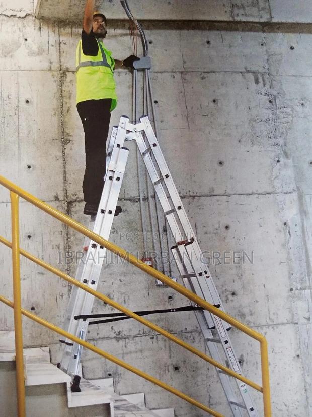Double Extension Ladder · Photo 2