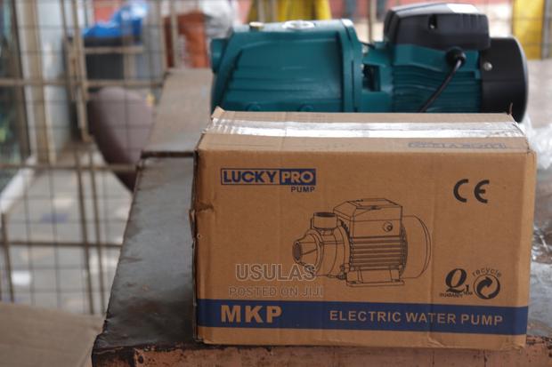 Lucky Pro Water Pump · Photo 2