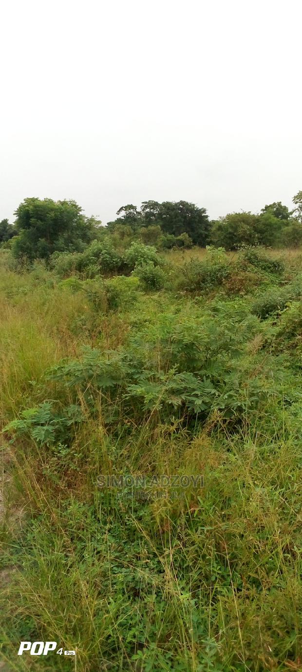 Fish Farming Land for Lease · Photo 4