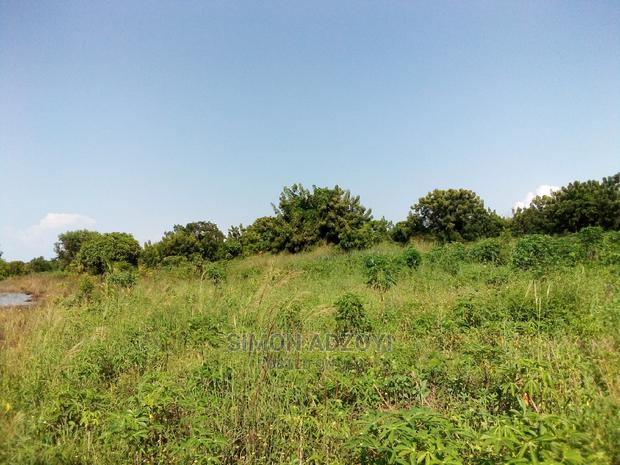 Fish Farming Land for Lease · Photo 5