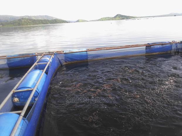 Fish Farming Land · Photo 2