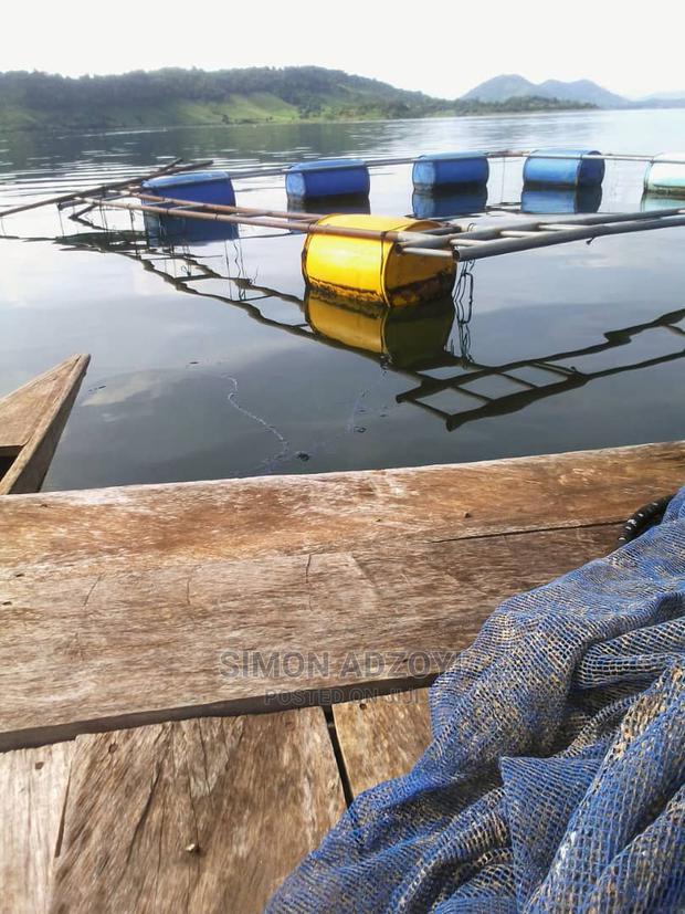 Fish Farming Land · Photo 3