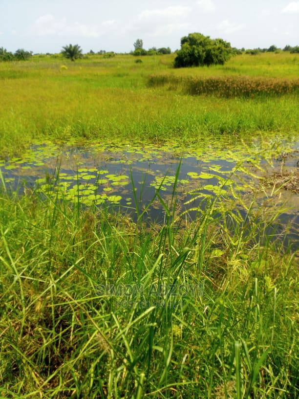 10,000+ Acres of Rice Farming Land for Long Term Lease · Photo 3