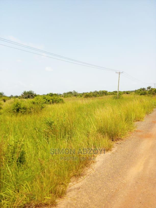10,000+ Acres of Rice Farming Land for Long Term Lease · Photo 4