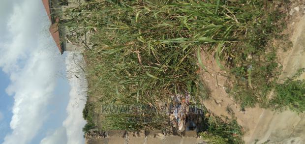 Plot of Land at Durban Newsite Is on Sales · Photo 5