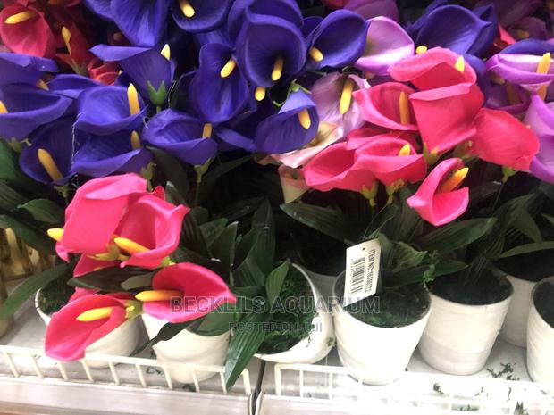 Flowers and Flower · Photo 2