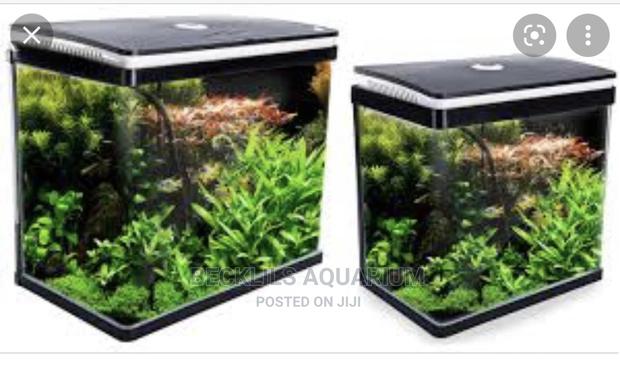 Package Aquarium Fish Tank · Photo 2