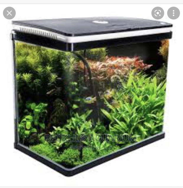 Package Aquarium Fish Tank · Photo 1