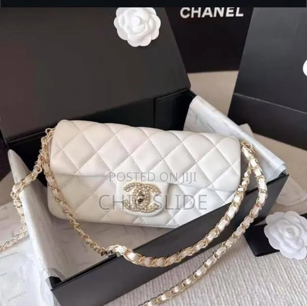 Luxury Chanel Cute Bag · Photo 1