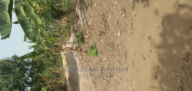 Plot of Land at Kotei Closed to the Station · Photo 4