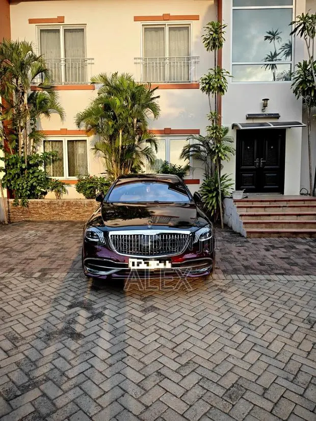 Mercedes-Benz S-Class S 350 BlueTEC (W222) 2017 Brown · Photo 1