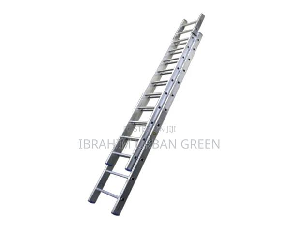 Professional Extension Ladder · Photo 1
