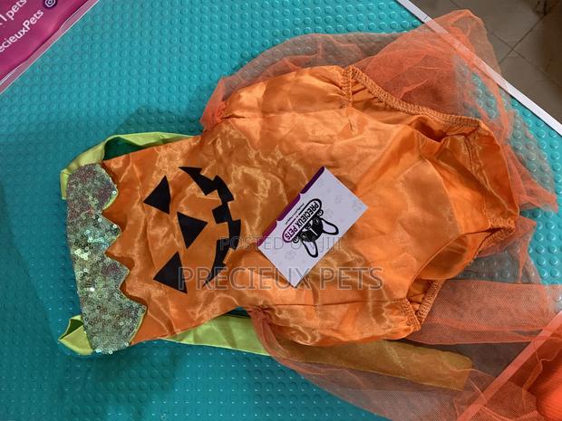 Toy Dog Clothings Series 41 · Photo 2
