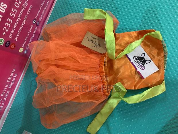 Toy Dog Clothings Series 41 · Photo 1