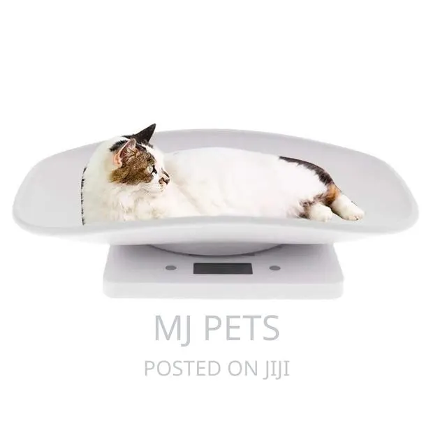 Puppy Weighing Scale · Photo 1