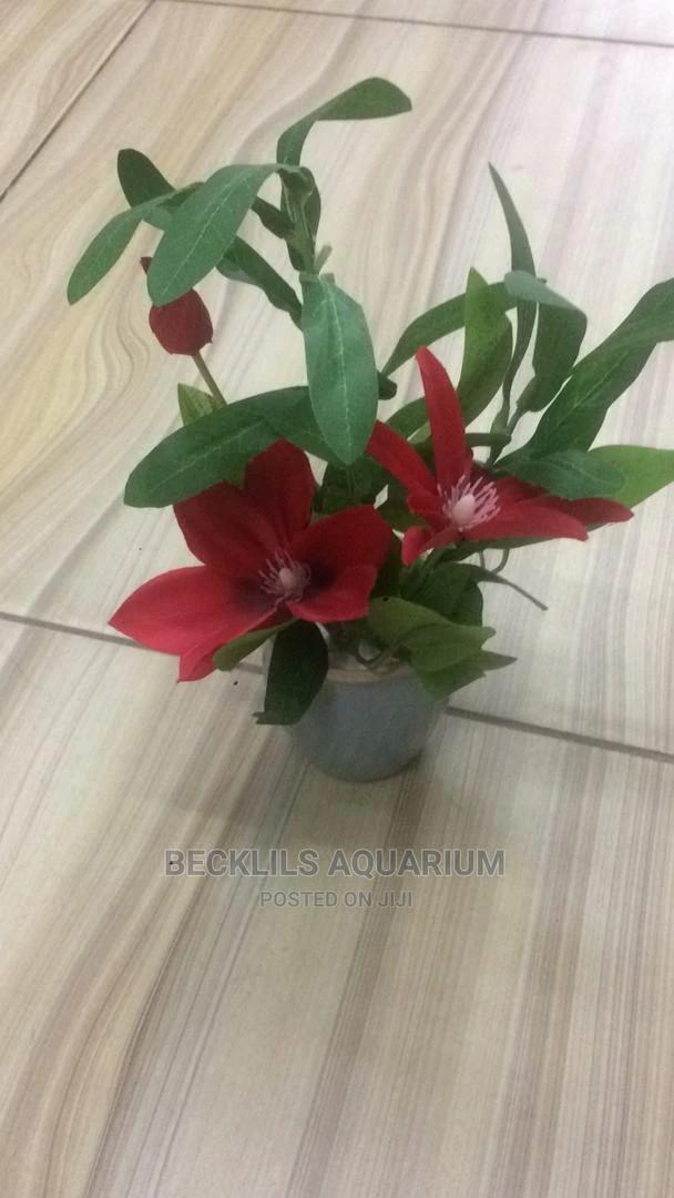 Flowers N Flowers · Photo 4