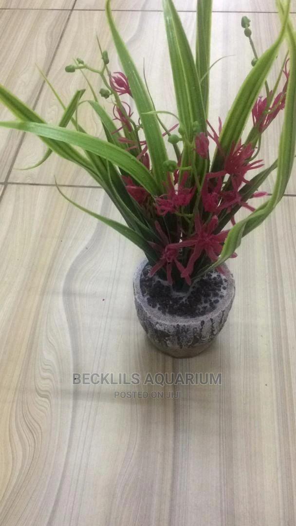 Flowers N Flowers · Photo 3