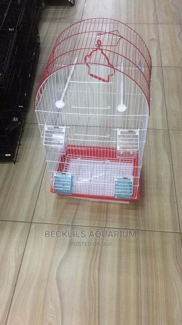Single Quality Bird Cage · Photo 1