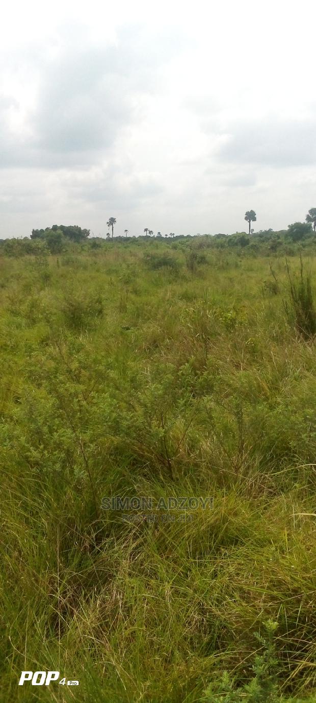 Farm Land for Long Lease · Photo 3