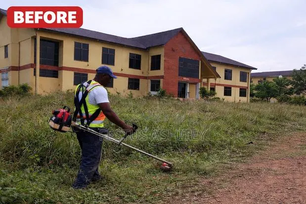 Professional Weed Cutting Land Clearing Services (Fast Affordable) · Photo 1