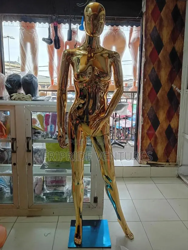 Gold Fibre Full Body Female Mannequin · Photo 1