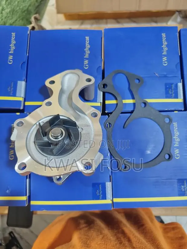 Ford Fiesta Water Pulp · Photo 1