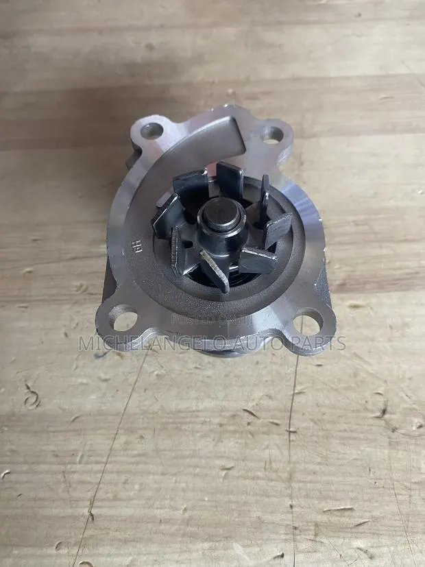 Water Pump Nissan Juke · Photo 1