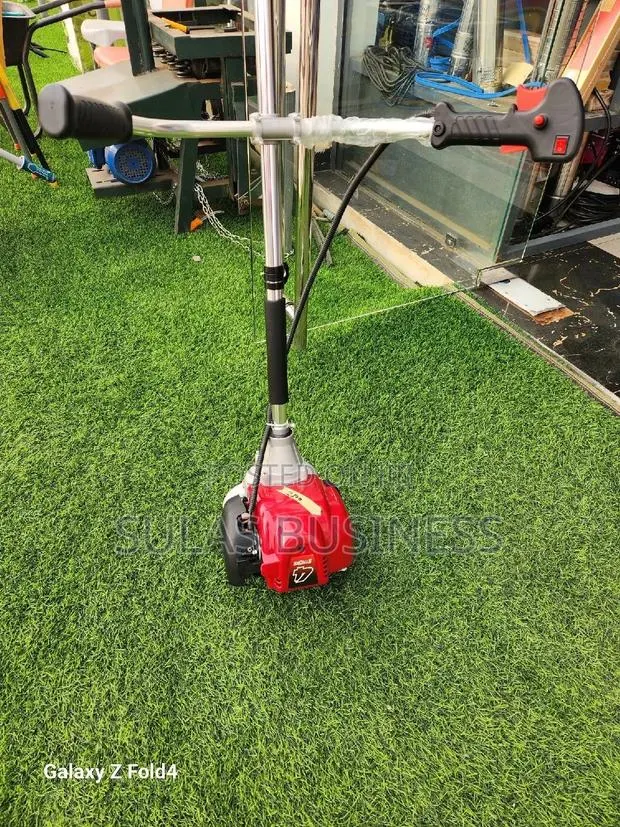 4 Stroke Mainstay Bush Cutter · Photo 1