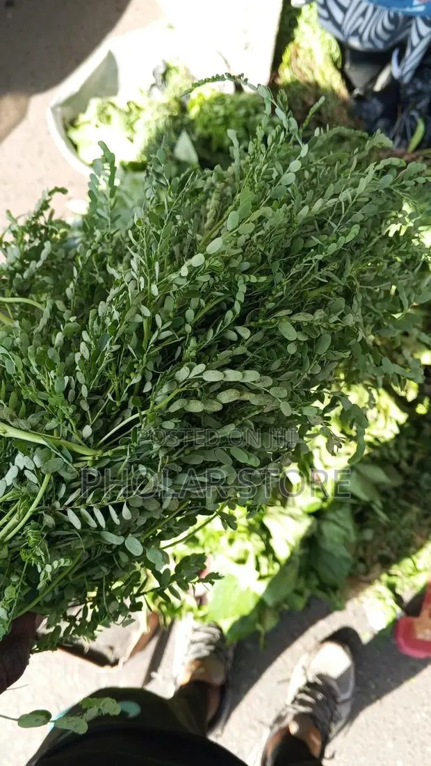 Fresh Herbs 40ghc Upward and Dried Plants 60ghc Upward · Photo 8