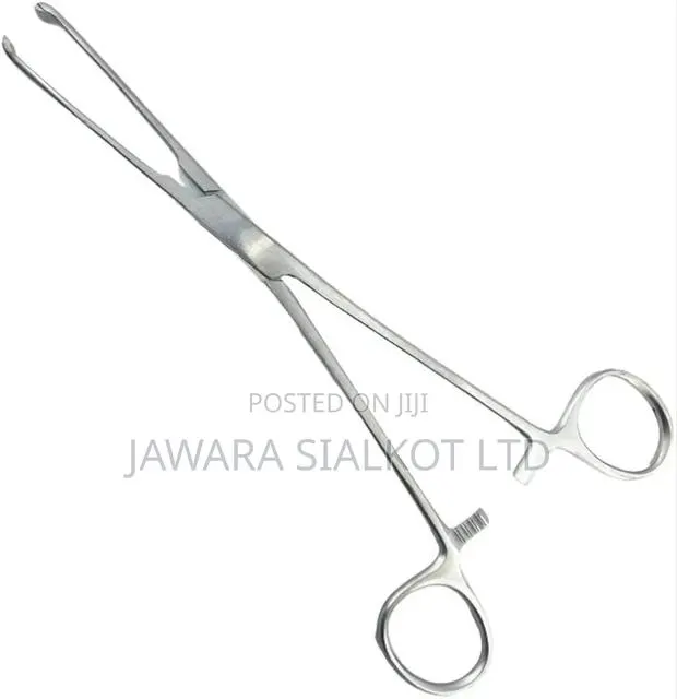 Allis Tissue Holding Forcep 24cm · Photo 1